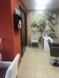 Миниатюра 7
