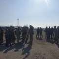 Миниатюра 9