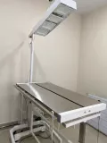 Миниатюра 7