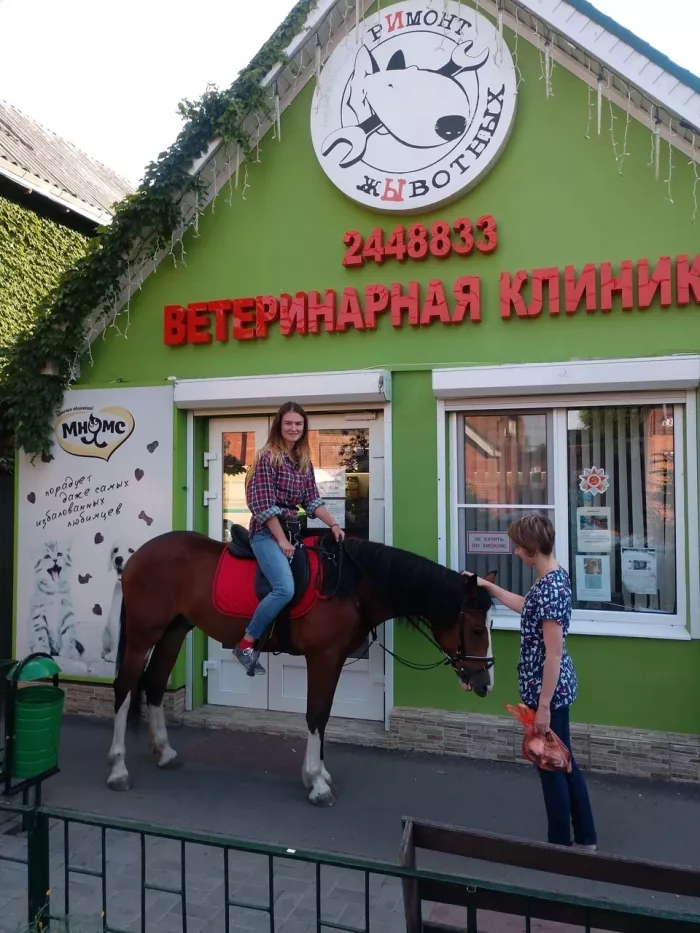 Ветеринарная клиника "Ремонт животных"