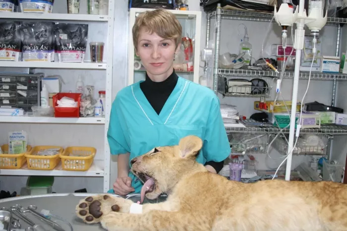 Ветеринарная клиника "Ремонт животных"