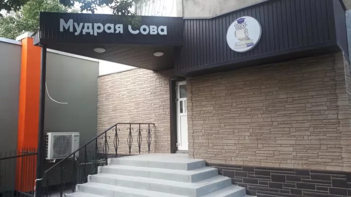 Детский клуб "Мудрая сова"