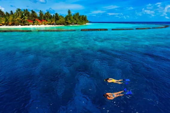Отель "Курамба Мальдивы" (Hotel "Kurumba Maldives")