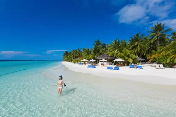 Отель "Курамба Мальдивы" (Hotel "Kurumba Maldives")