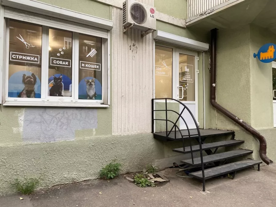 Зоосалон Groomer-Bar в Ростове-на-Дону: Зоосалон, Зоопарикмахерская, Любимцы,