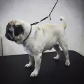 Миниатюра 9