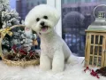 Миниатюра 6