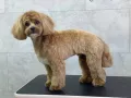 Миниатюра 11