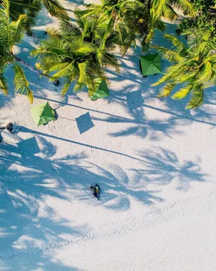 Отель «South Palms Resort Panglao»