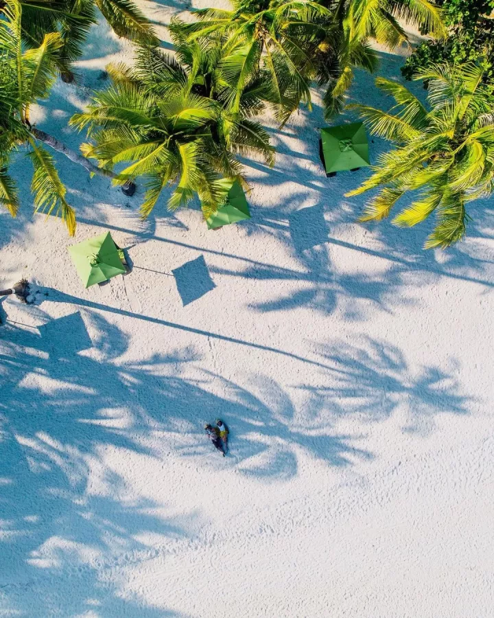 Отель South Palms Resort Panglao в Бохоль: South Palms, Hotel, Отель, Diving, Дайвинг,