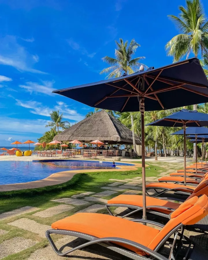Отель South Palms Resort Panglao в Бохоль: South Palms, Hotel, Отель, Diving, Дайвинг,