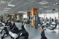 Миниатюра 12