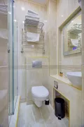 Миниатюра 9