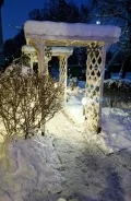 Миниатюра 7