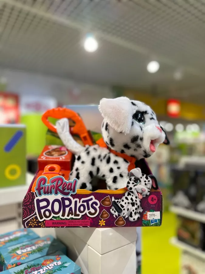 Магазин одежды Kidsmax.ru в Калининграде: Игрушки, Одежда, Доставка, Джинсы, Фешн, Обувь, стиль,