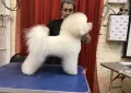 Миниатюра 2