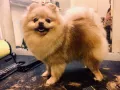 Миниатюра 7