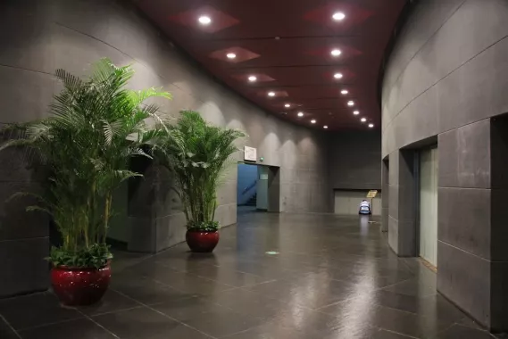 Театр «National Center for the Performing Arts»