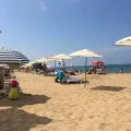 Миниатюра 3