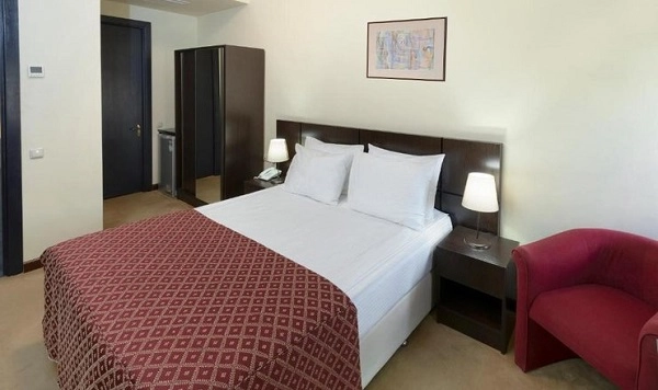 Ani Central Inn - отель в Ереване в Ереване: автостоянка, конференс-зал, экскурсии, Ресторан, Отель, бассейн, Чилим,