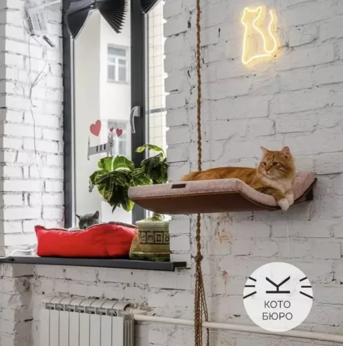 Сеть Котокафе Котики и люди  в  Москве
