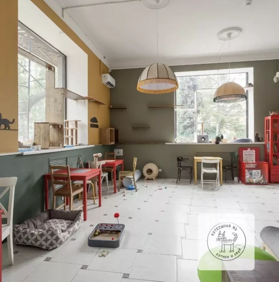 Сеть Котокафе Котики и люди в Москве: Котокафе, Котики, Коты, Котята, Покушать, Милота, Антикафе, Коворкинг,