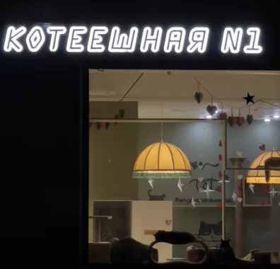Сеть Котокафе "Котики и люди"