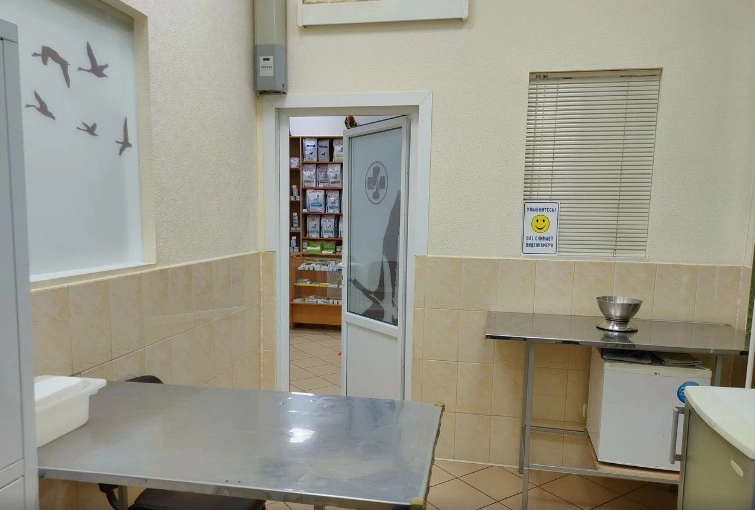 Ветеринарная Клиника Лебеди в Видном: Терапия, Травмотология, Ортопедия, УЗИ, Дерматология, Кардиология, Эндокринология, Эндоскопия, Офтальмология, Онкология,