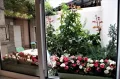 Миниатюра 7