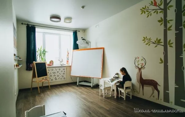 Частный детский сад "Школа гениальности".
