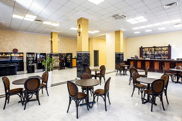 Ani grand hotel - отель в Ереване в Ереване: шведский стол, парковка, лаундж-зона, Отель, фитнес-центр, бассейн, Сауна, Массаж,