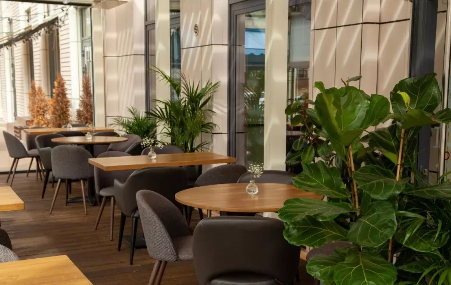 Итальянский ресторан Medici bistro в Санкт-Петербурге: Салат, Суп, Ризотто, Винная Карта, Десерт,