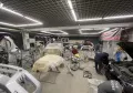 Миниатюра 10