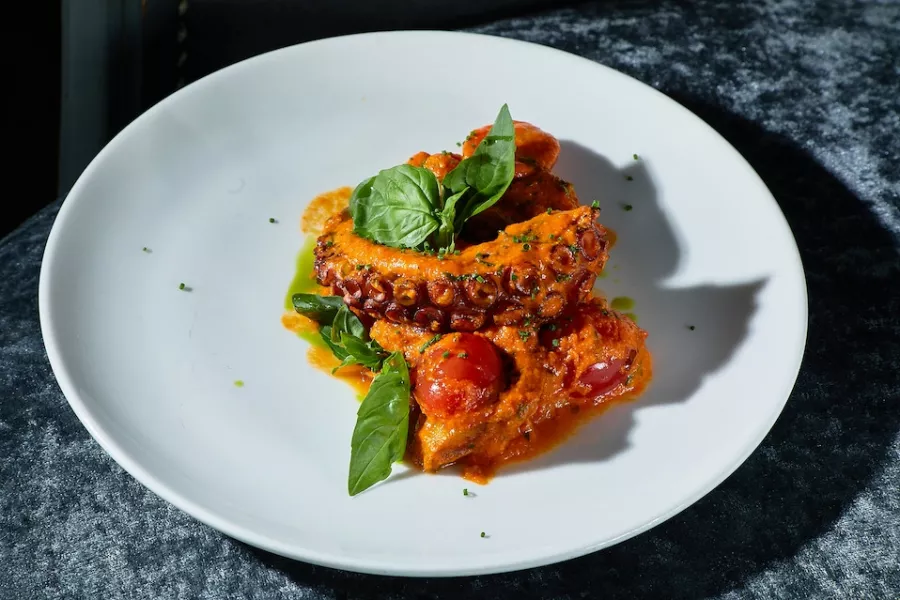 Ресторан Джельсомино Cafe в Санкт-Петербурге: Отдых, Караоке, Вечеринки, Музыкально, Танцы,