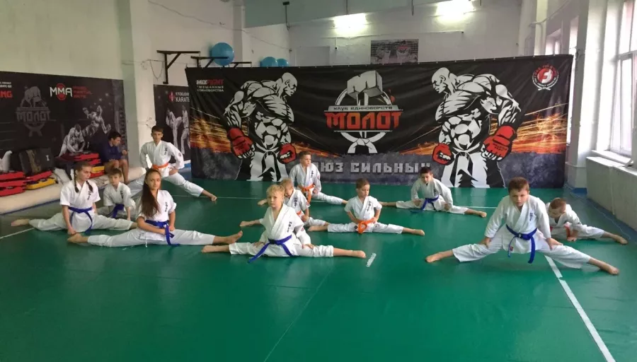 Спортивный клуб Safronov team в Сочи: Киокушинкай, Ката, Кимоно, Боевые Искусства, Кроссфит,