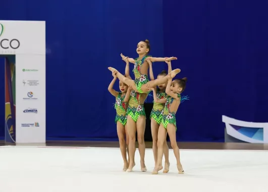 "Центр гимнастики Олимпийской чемпионки Юлии Барсуковой"