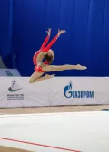 Миниатюра 5