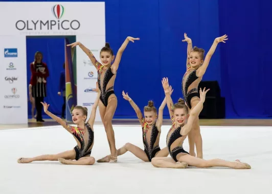 "Центр гимнастики Олимпийской чемпионки Юлии Барсуковой"