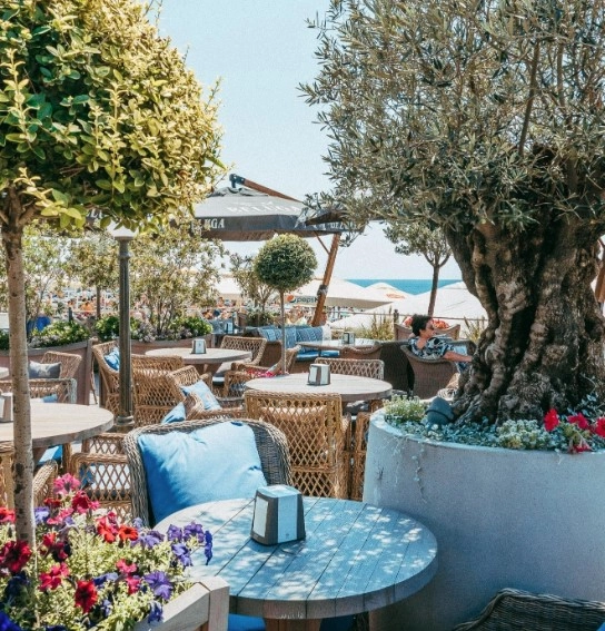 Ресторан Royal Fish в Сочи: Ресторан, Вкусно, Еда,