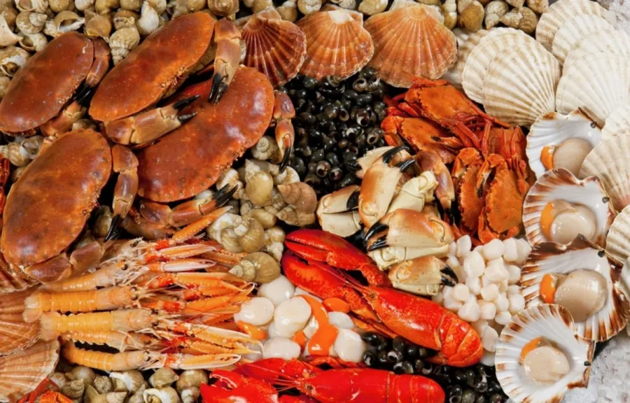 Ресторан Royal Fish в Сочи: Ресторан, Вкусно, Еда,