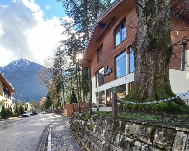 Ресторан Парк в Сочи: Ресторан, Вкусно, Еда,