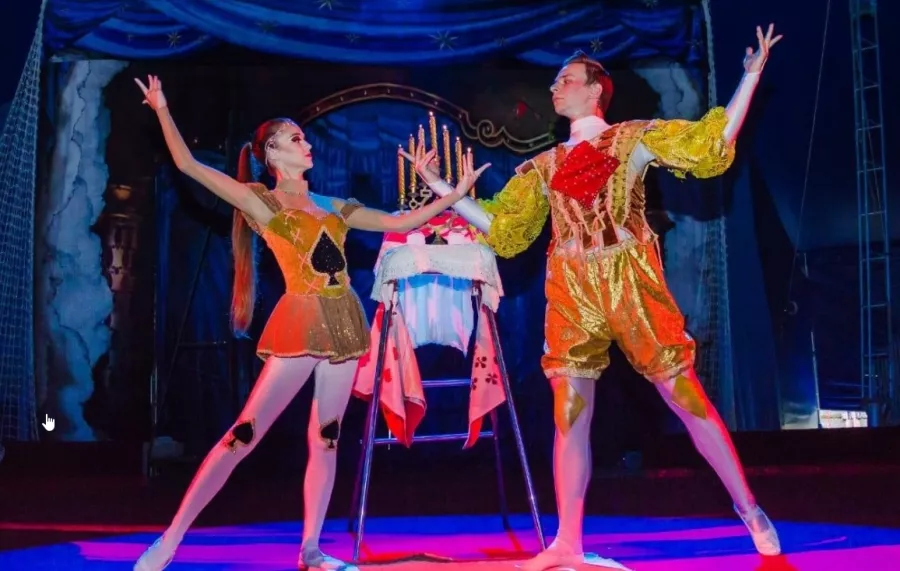 Цирк Circus land в Геленджике: Цирк, Цирковые представления, Интерактивная постановка,