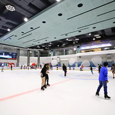 Каток «Chenlu International Ice Center»