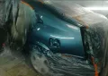 Миниатюра 8