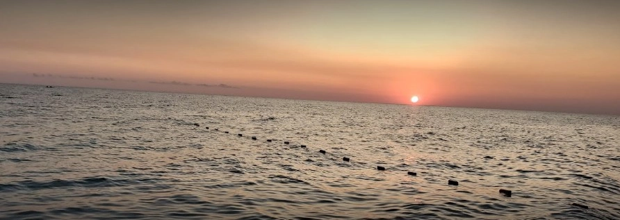 Пляж Ласточка в Сочи: Сочи Пляжи , На море , Черное Море, Чилим,