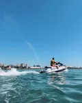Миниатюра 10