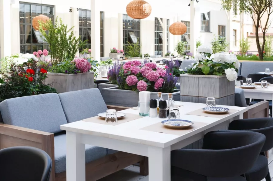 Ресторан Сыроварня в Санкт-Петербурге: Европейская кухня, Ресторан, Еда,