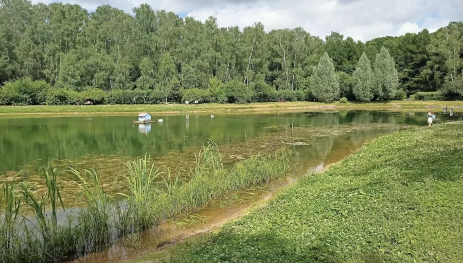 Парк культуры и отдыха Сокольники в Москве: Отдых, Парк, Культура, Природа,
