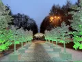 Миниатюра 13