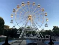Миниатюра 14